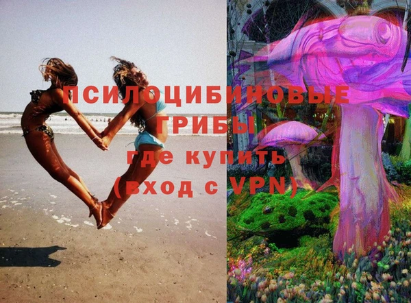 ешки Волосово