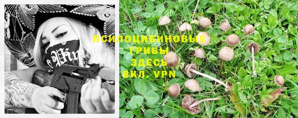 ешки Волосово