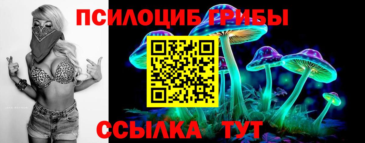 Вольск  Галлюциногенные грибы Cubensis  Вход с VPN 